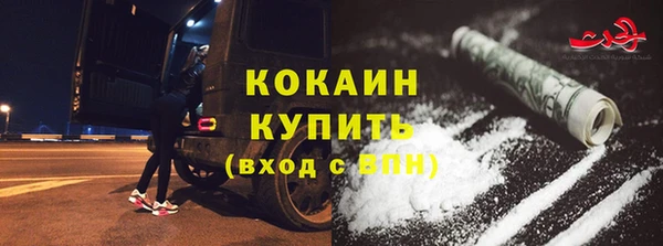 дживик Алзамай