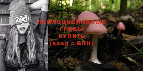 марки lsd Алексеевка
