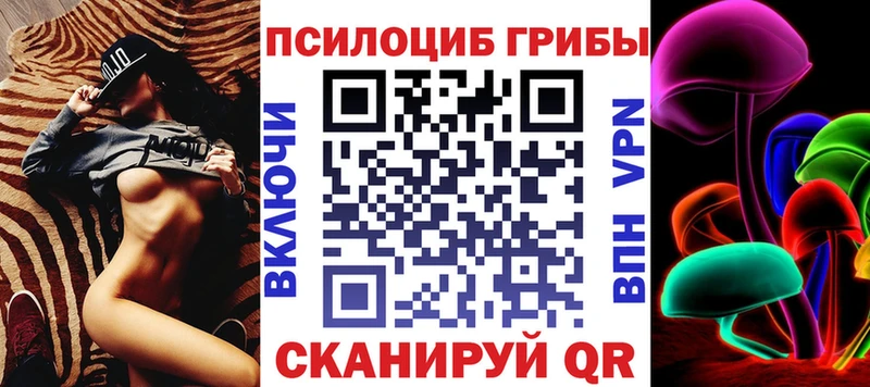 Псилоцибиновые грибы Psilocybine cubensis  Берёзовка 