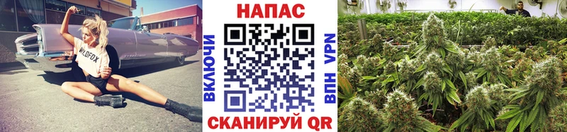 Бошки марихуана Amnesia  гидра как войти  Берёзовка  дарк нет телеграм  где купить  